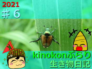 Thumbnail of post image 004